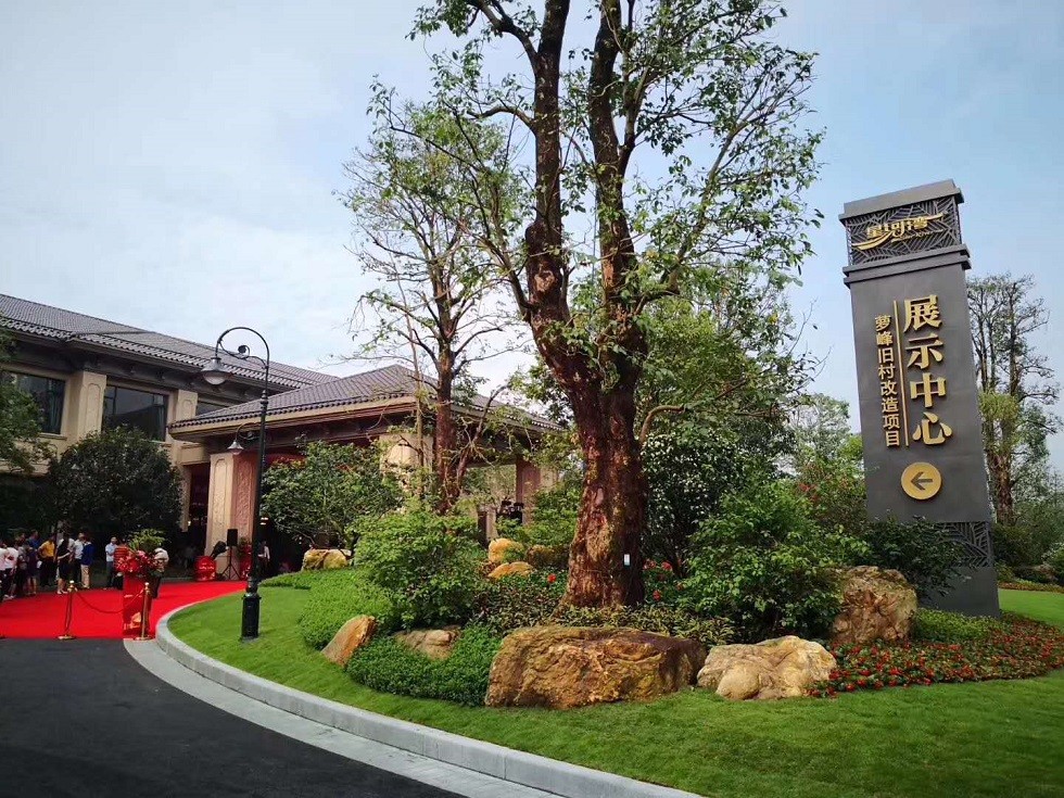 1600161323479423.jpg 03.jpg